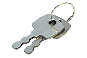 Pair of Spare Keys